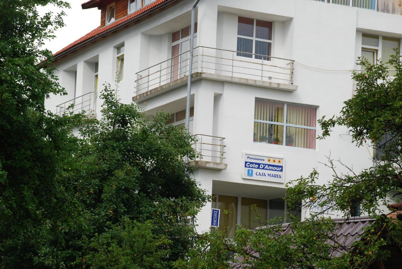 Pension Cote D'Amour Moieciu de Jos Exterior foto