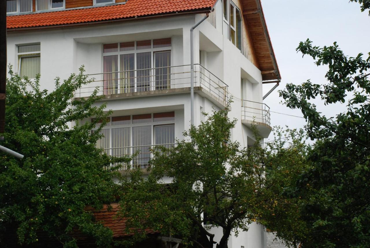 Pension Cote D'Amour Moieciu de Jos Exterior foto