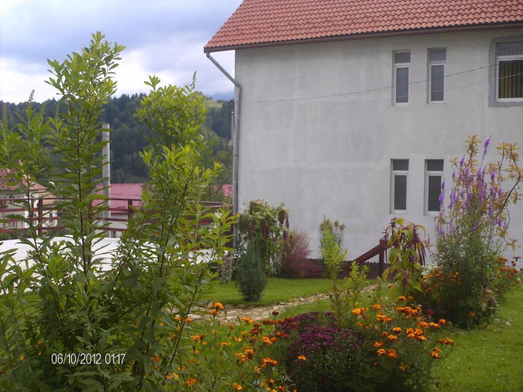 Pension Cote D'Amour Moieciu de Jos Exterior foto